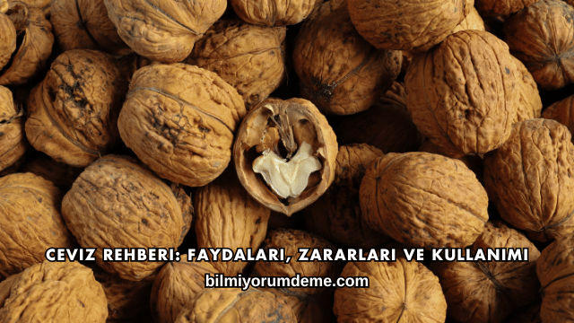 Ceviz Rehberi: Faydaları, Zararları ve Kullanımı