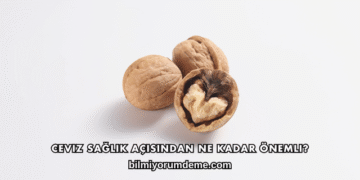Ceviz Sağlık Açısından Ne Kadar Önemli?