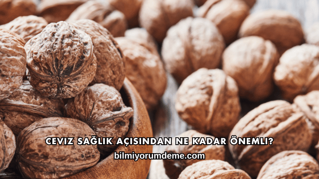 Ceviz Sağlık Açısından Ne Kadar Önemli?