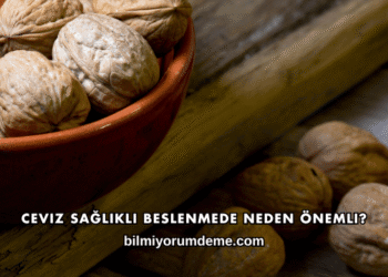 Ceviz Sağlıklı Beslenmede Neden Önemli?