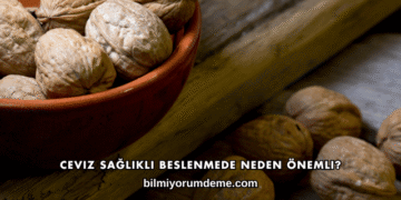 Ceviz Sağlıklı Beslenmede Neden Önemli?