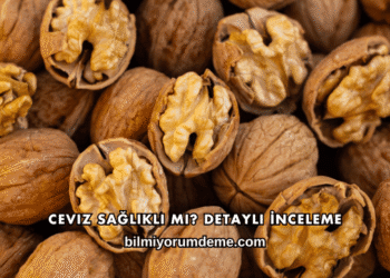 Ceviz Sağlıklı mı? Detaylı İnceleme