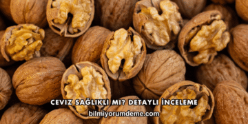 Ceviz Sağlıklı mı? Detaylı İnceleme