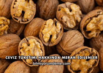 Ceviz Tüketimi Hakkında Merak Edilenler
