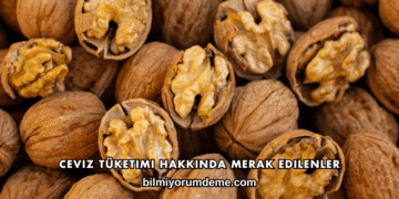 Ceviz Tüketimi Hakkında Merak Edilenler
