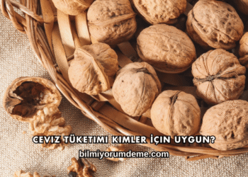 Ceviz Tüketimi Kimler İçin Uygun?