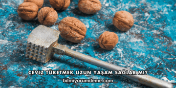 Ceviz Tüketmek Uzun Yaşam Sağlar mı?