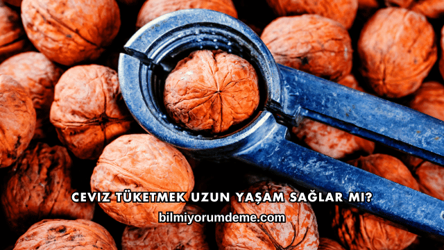 Ceviz Tüketmek Uzun Yaşam Sağlar mı?