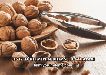 Ceviz Tüketmenin Bilimsel Faydaları