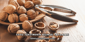 Ceviz Tüketmenin Bilimsel Faydaları