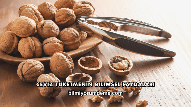 Ceviz Tüketmenin Bilimsel Faydaları