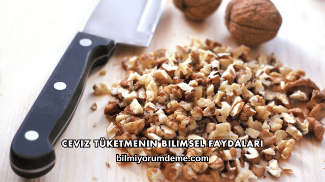 Ceviz Tüketmenin Bilimsel Faydaları