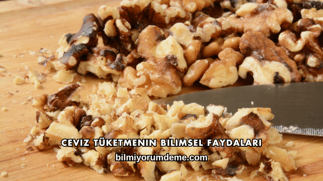 Ceviz Tüketmenin Bilimsel Faydaları