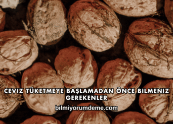 Ceviz Tüketmeye Başlamadan Önce Bilmeniz Gerekenler
