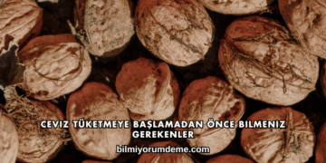 Ceviz Tüketmeye Başlamadan Önce Bilmeniz Gerekenler