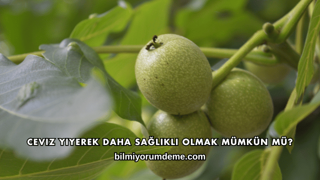 Ceviz Yiyerek Daha Sağlıklı Olmak Mümkün mü?