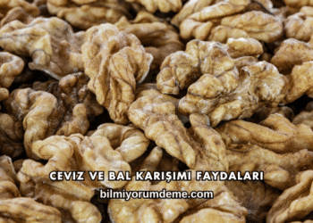 Ceviz ve Bal Karışımı Faydaları