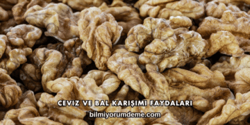 Ceviz ve Bal Karışımı Faydaları