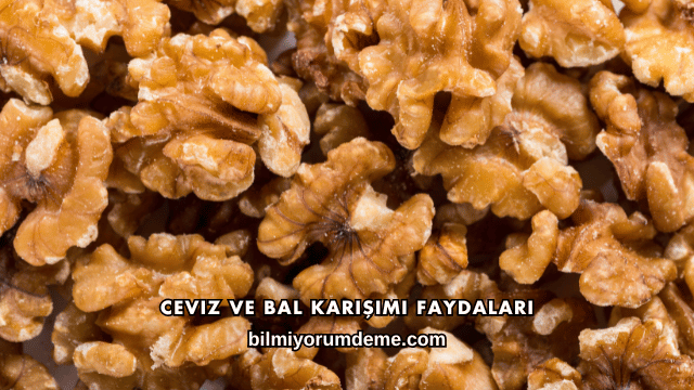 Ceviz ve Bal Karışımı Faydaları