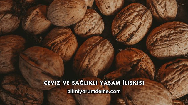 Ceviz ve Sağlıklı Yaşam İlişkisi