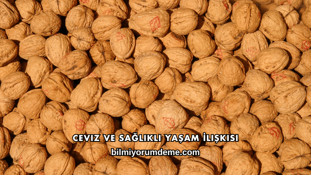Ceviz ve Sağlıklı Yaşam İlişkisi