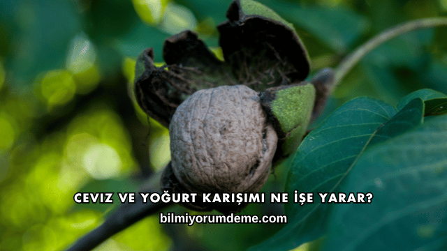 Ceviz ve Yoğurt Karışımı Ne İşe Yarar?