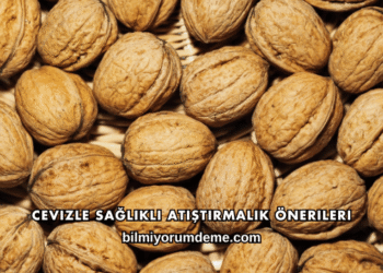 Cevizle Sağlıklı Atıştırmalık Önerileri
