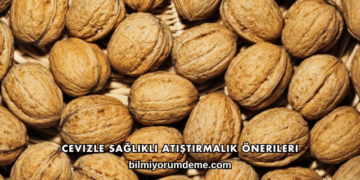 Cevizle Sağlıklı Atıştırmalık Önerileri