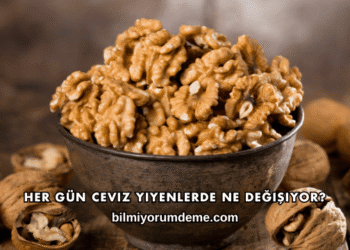 Her Gün Ceviz Yiyenlerde Ne Değişiyor?
