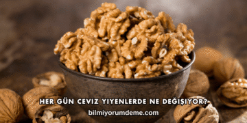Her Gün Ceviz Yiyenlerde Ne Değişiyor?