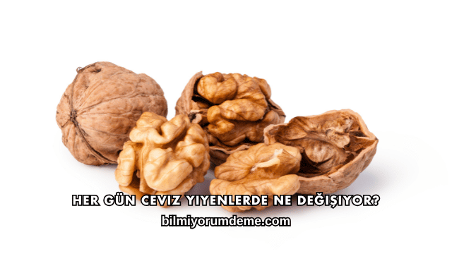 Her Gün Ceviz Yiyenlerde Ne Değişiyor?