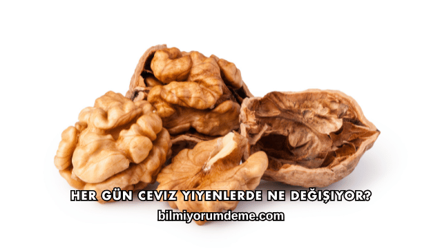 Her Gün Ceviz Yiyenlerde Ne Değişiyor?
