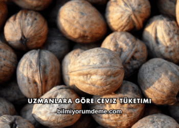Uzmanlara Göre Ceviz Tüketimi