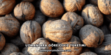 Uzmanlara Göre Ceviz Tüketimi